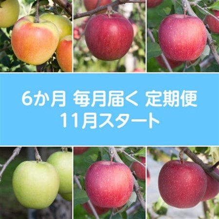 【発送月固定定期便】〈2026年11月より順次発送〉甘味系・青森県産りんご約3kg 全6回_果物・フルーツ りんご  リンゴ 林檎  定期便 定期便  _【配送不可地域：離島・沖縄県】【4051701】