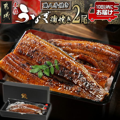 職人手焼きの本格うなぎ蒲焼き2尾≪みやこんじょ特急便≫〔MJ-33-003-2-Q〕_(都城市) 国産 本格 うなぎ 鰻 蒲焼 宮崎 うなぎ