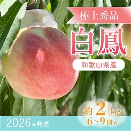 先行受付!　桃の王様【白鳳】　特秀品　約2kg　6～9個入【配送不可地域：離島】【1525326】