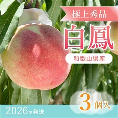 先行受付!　桃の王様【白鳳】　特秀品　食べきりやすい3個入り【配送不可地域：離島】【1525339】