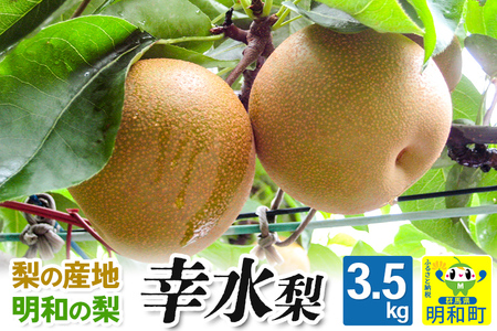 梨(幸水 こうすい)3.5kg[8月中旬〜8月下旬にお届け] 果物 フルーツ