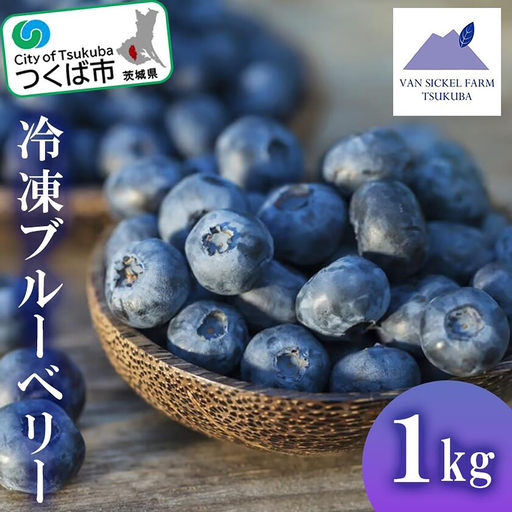 ブルーベリー 冷凍 1kg 農薬不使用 ブルーベリー