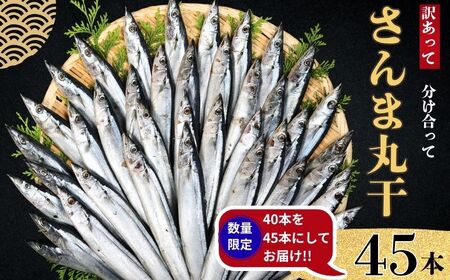 訳あり さんま 40尾 数量限定 増量 中 45尾 訳あって [ さんま ] ヤマニンベン