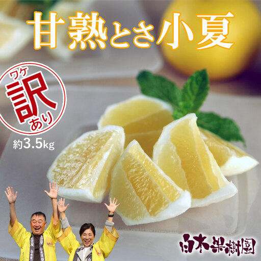 [先行予約]甘熟とさ小夏 家庭用(2S~2Lサイズ)約3.5kg[2027年4月上旬-2027年5月中旬頃発送]高知県土佐市 [株式会社SHIRAKI] [BQAI031]