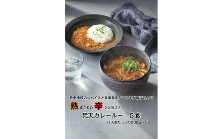 【5食】梵天冷凍カレールーセット［No.390］