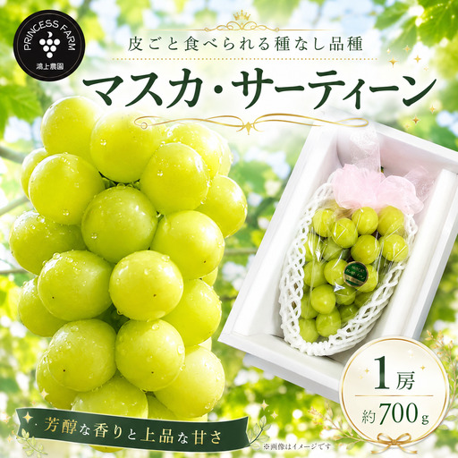 マスカ・サーティーン （1房・約700g）種なしぶどう