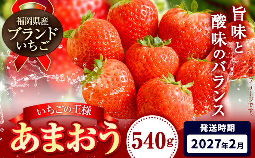 いちご あまおう 先行予約 いちご 大量 540g 選べる発送時期 定期便 フルーツ《2027年2月上旬-2月末頃出荷》苺 旬 くだもの 果物 福岡県 小竹町