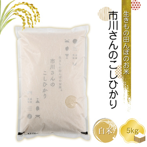 【令和7年産・白米5kg】生きもの田んぼのお米 市川さんのこしひかり 農薬 化学肥料 除草剤不使用 信州【 米 コメ 備蓄品 仕送り おすそ分け 備蓄米 長野県 佐久市 】