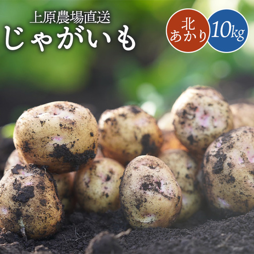 上原農場直送　じゃがいも（北あかり） 10kg【S～2Lサイズ混合】【6600401】
