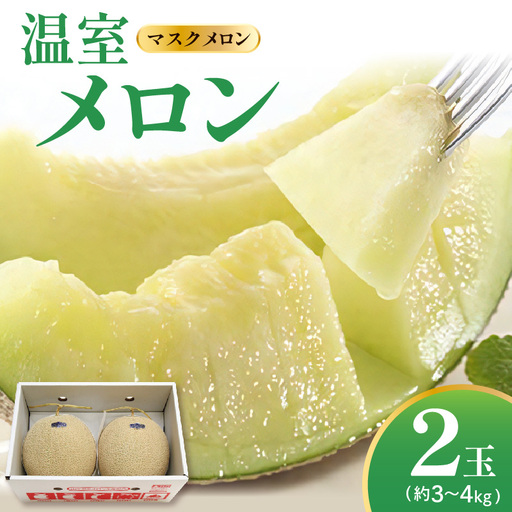 先行予約 令和8年産 温室メロン マスクメロン 2玉 約3～4kg