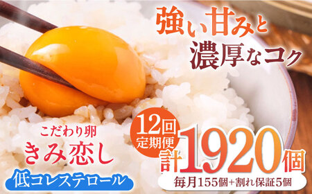 【12回定期便】きみ恋し 160個（155個+割れ保証5個）×12ヶ月 総計1920個[AFAJ018]