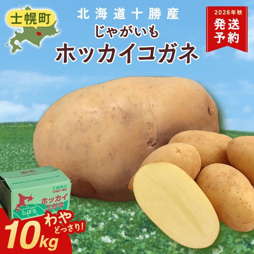 [10月より順次発送予定]北海道 じゃがいも ホッカイコガネ 10kg 北海道産 十勝産 北海こがね 北海コガネ 北海黄金 ジャガイモ 芋 いも ポテト お取り寄せ まとめ買い 送料無料 十勝 士幌町[V06]