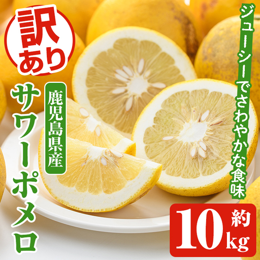 [先行予約受付中!2027年1月以降順次発送予定]訳ありサワーポメロ(約10kg) 国産 果物 フルーツ 柑橘 甘味 酸味 デザート おやつ[松永青果]akn053-16