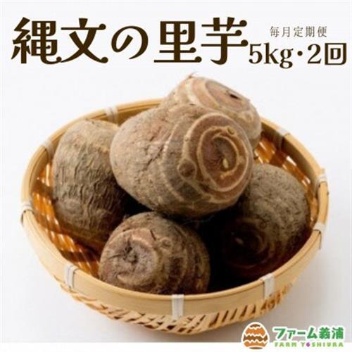 【毎月定期便】富山県小矢部市産「縄文の里芋」5kg全2回【4053309】