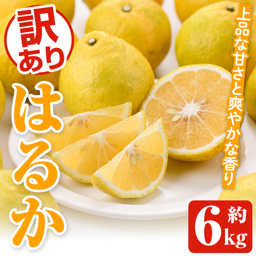 ＜先行予約受付中！2027年2月上旬以降順次発送予定＞訳ありはるか(約6kg) 国産 鹿児島県産 果物 フルーツ 柑橘 みかん はるか【松永青果】akn053-40