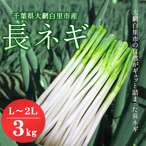 ★先行予約★【2026年12月発送開始予定】千葉県大網白里市産　長ネギ　L～2Lサイズ　3㎏（約18本～27本）／ふるさと納税 長ネギ 長ねぎ 長葱 ネギ ねぎ 葱 野菜 鍋 先行予約 先行受付 千葉県 大網白里市 AV002