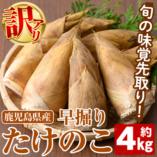 ＜先行予約受付中！2026年12月上旬以降順次発送予定＞訳あり！鹿児島県産 早掘りたけのこ(約4kg) 国産 野菜 たけのこ タケノコ 筍 旬 煮物 水煮 天ぷら つくだ煮【松永青果】akn053-35