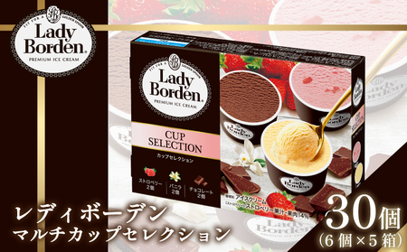 ロッテ レディーボーデン マルチカップセレクション |レディーボーデン アイス セット 詰め合わせ バニラ チョコレート ストロベリー アイスクリーム[MNM0022]