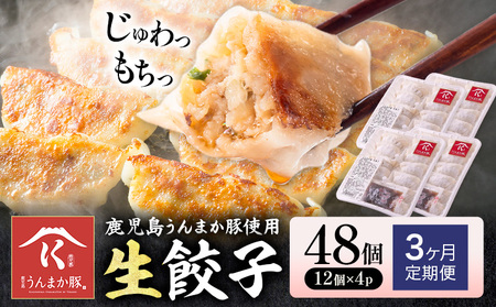 [3ヶ月定期便]鹿児島 うんまか豚 生餃子 48個 株式会社 寺師[お申し込み翌月から出荷]鹿児島県 さつま町 餃子 ギョウザ 焼き餃子 水餃子