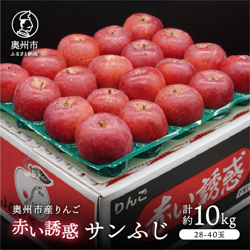奥州市産りんご 赤い誘惑 「サンふじ」 約10kg(28~40玉) [AQ080]