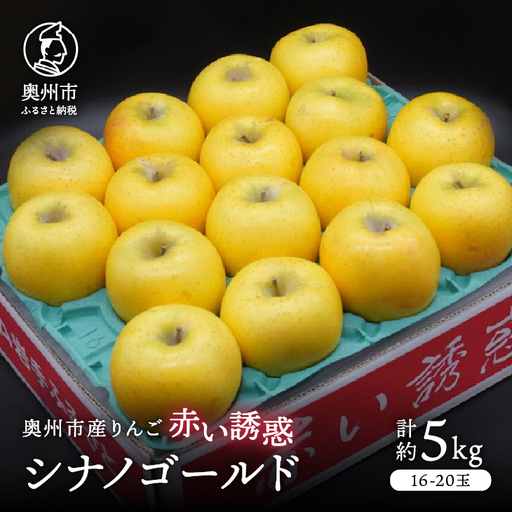 奥州市産りんご 赤い誘惑「シナノゴールド」約5kg 16-20玉 [AQ084]