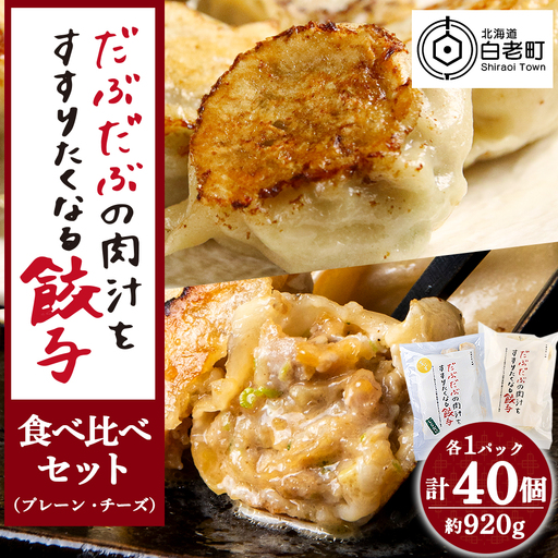 だぶだぶの肉汁をすすりたくなる餃子 食べ比べセット 40個(プレーン・チーズ 各20個)
