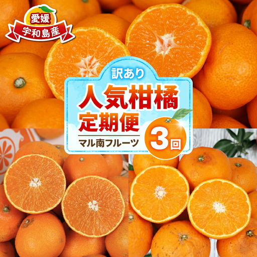 訳あり 人気柑橘 3回 定期便 マル南フルーツ 愛果28号 【紅まどんなと同品種】 まどんな せとか 早生温州 B030-106045