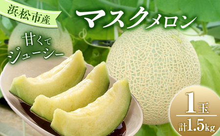 メロン 2026年7月上旬より順次発送 マスクメロン1.5kg×1個 メロン