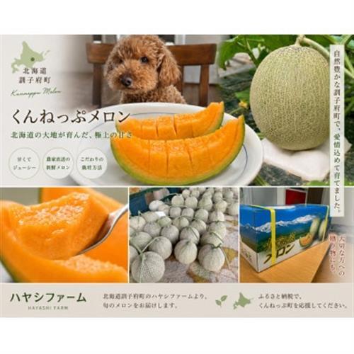 くんねっぷメロン赤肉 2kg×2個【配送不可地域：離島・沖縄県】【1529775】