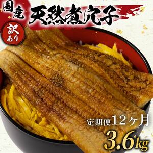 【 訳あり 】定期便 12ヶ月 国産 肉厚 煮 穴子 300g×12 3.6kg 穴子
