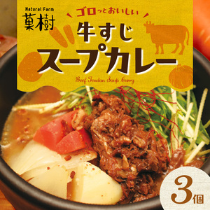 [ナチュラルファーム菓樹]牛すじスープカレー 3個セット 