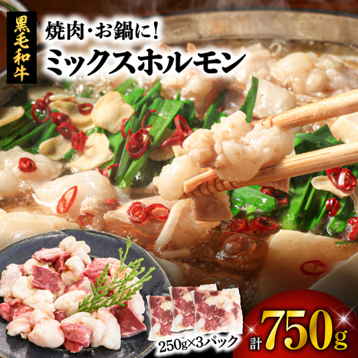 焼肉・お鍋に！ミックスホルモン750g（250g×3パック） K002-005_01 肉 牛肉 冷凍