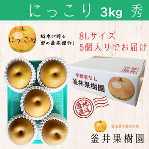 にっこり 3kg 5玉 ｜ 栃木県産 宇都宮市 梨 なし フルーツ 果物 旬 産地直送 ※2026年9月～発送