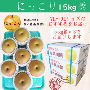 にっこり 15kg 18～24玉 | 栃木県産 宇都宮市 梨 なし フルーツ 果物 旬 産地直送 ※2026年9月～発送