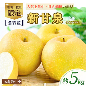 【倉吉産】新甘泉 5kg（ＪＡ鳥取中央） 梨 和梨
