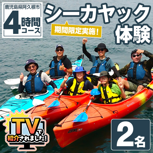 期間限定実施 シーカヤック体験チケット(4時間/2名) 阿久根 シーカヤック アウトドア アクティビティ 自然 体験 ツアー チケット マリンスポーツ[パズル]akn098-06