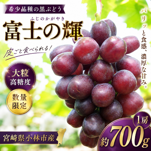 ぶどう 富士の輝 1房(約700g)ブラックシャインマスカット シャインマスカット