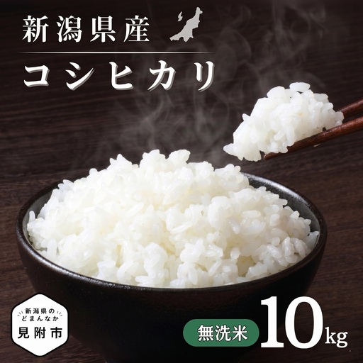 米[令和7年産]コシヒカリ 無洗米10kg