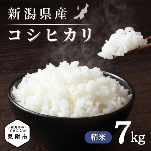 米【令和7年産】コシヒカリ 精米7kg