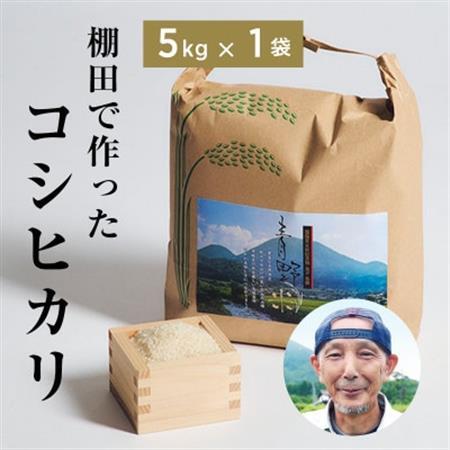 青野山の湧水と朝晩の寒暖差が育んだ棚田の甘〜い米「コシヒカリ」(白米5kg×1袋)(令和8年産)