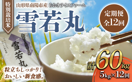 【金賞受賞農家】 《定期便12回》 令和7年産 特別栽培米 雪若丸 5kg×12か月 『あおきライスファーム』 山形南陽産 米 白米 精米 ご飯 農家直送 山形県 南陽市 [1612]