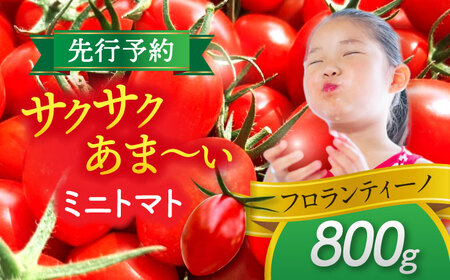 ミニトマト (フロランティーノ)800g 野菜 トマト[AEBG004]