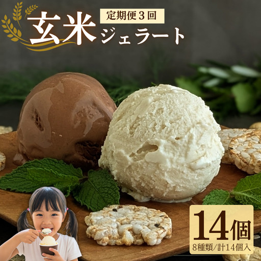 [定期便3回] 玄米ジェラート14個 ヴィーガン アイス [ ジェラート ] [204]