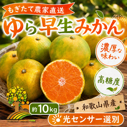 【先行予約】ゆら早生 みかん 濃厚な味わい 約10kg 希少品種《有機質肥料100％》極早生 ｜ 由良 ゆら 早生 わせ 柑橘 果物 くだもの フルーツ 和歌山 有田