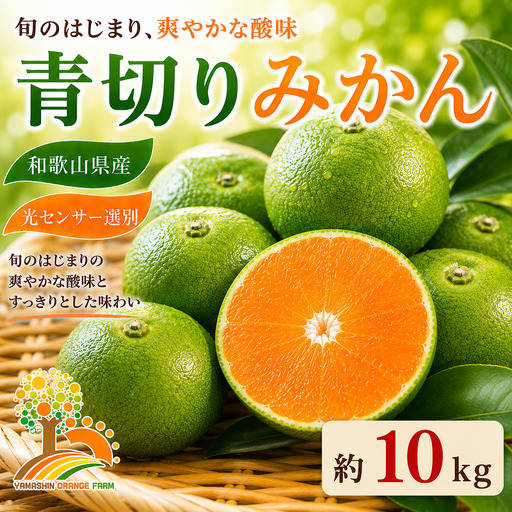 【先行予約】こだわりの青切りみかん 約10kg 農家直送 有機質肥料 100% サイズ混合 ｜ みかん 柑橘 果物 くだもの 果実 フルーツ 和歌山 有田