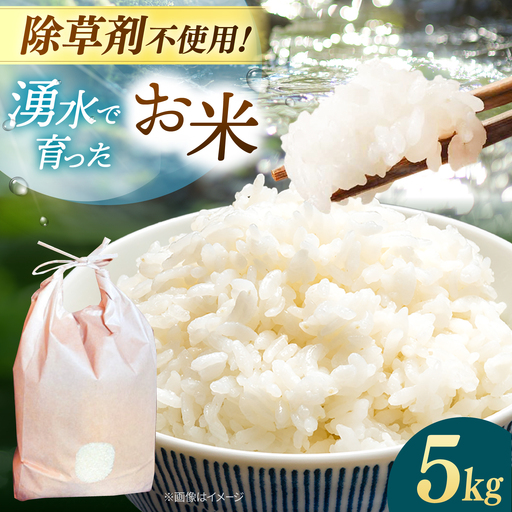 【 令和7年産】弥山岳の岩清水で育ったノガミファームの お米 白米 5kg ▼ 米 お米 白米 5kg 農家 直送 人気 ご飯 桂川町/NOGAMI FARM [ADAU004]