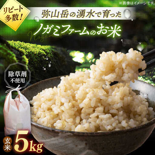 玄米 5kg ノガミファーム[ADAU009] 米 玄米5キロ