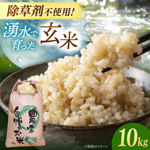 玄米 10kg [ADAU010] 玄米