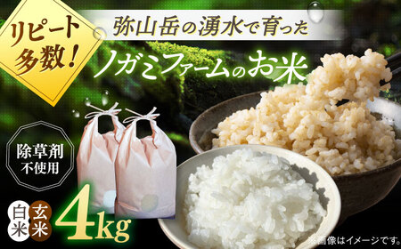 【 令和6年産】弥山岳の岩清水で育ったノガミファームの お米 白米 と 玄米 の 食べ比べ 計4kg （各 2kg ）▼ 米 コメ 玄米 お米 ご飯 白米 農家 直送 桂川町/NOGAMI FARM [ADAU013]