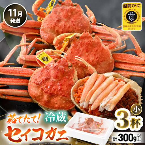 先行予約[冷蔵] 旬のセイコガニ 小 3杯 計300g以上(茹で前) 説明書付き [2026年11月上旬以降順次発送予定] ズワイガニ メス せいこがに [m21-x001_11]